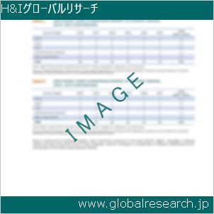 グローバルリサーチ調査レポートのイメージ